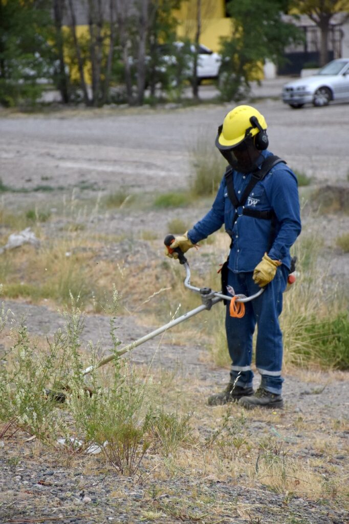 El Municipio refuerza el desmalezamiento en la avenida Eva Perón