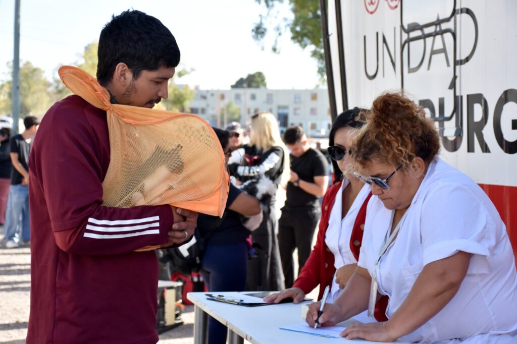 El quirófano móvil realizó una nueva jornada de castración gratuita en los barrios de Trelew