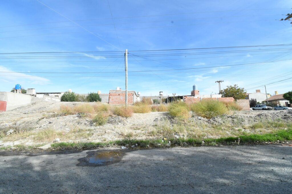 El Municipio de Trelew realizó más de 100 infracciones por terrenos baldíos abandonados y advierte demoras en el Tribunal de Faltas