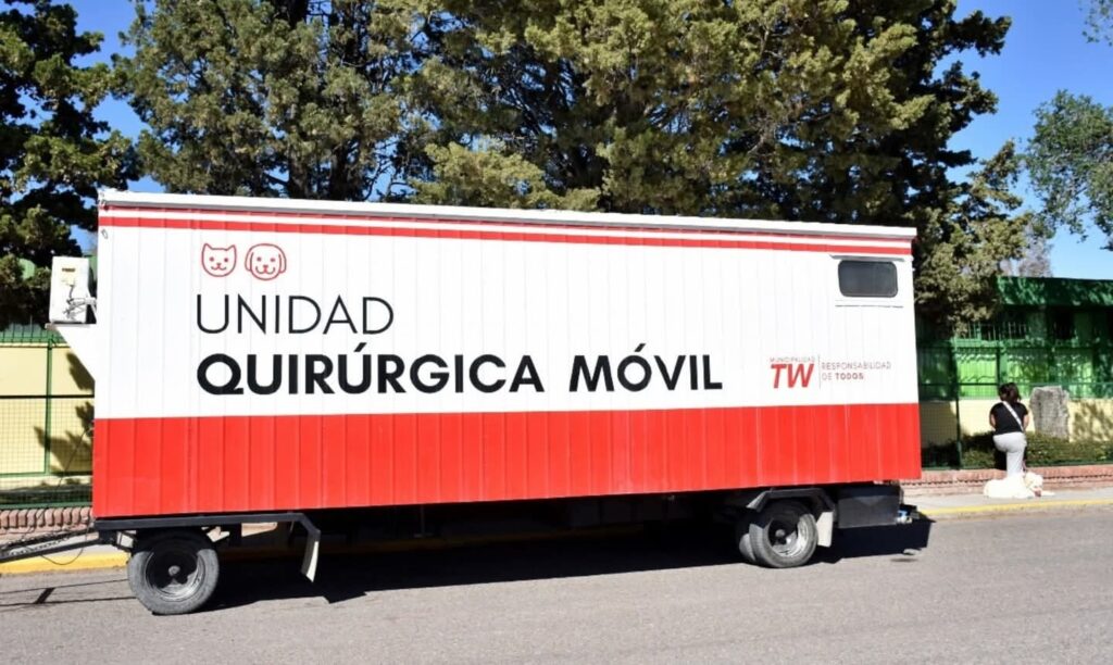 Trelew: Jornada de concientización, desparasitación, vacunación antirrábica y castraciones gratuitas en el Día del Animal