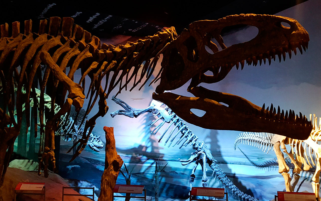 Museo Paleontológico Egidio Feruglio