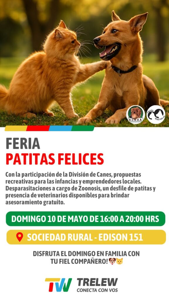 Feria “Patitas Felices”: una jornada para disfrutar en familia y promover el cuidado animal