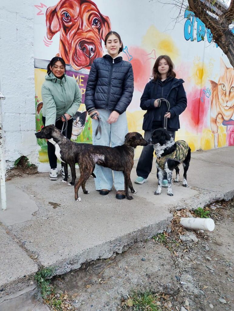 Estudiantes de Bryn Gwyn conocieron el trabajo diario de Zoonosis de Trelew, que ya supera las 8.200 actuaciones en 2026