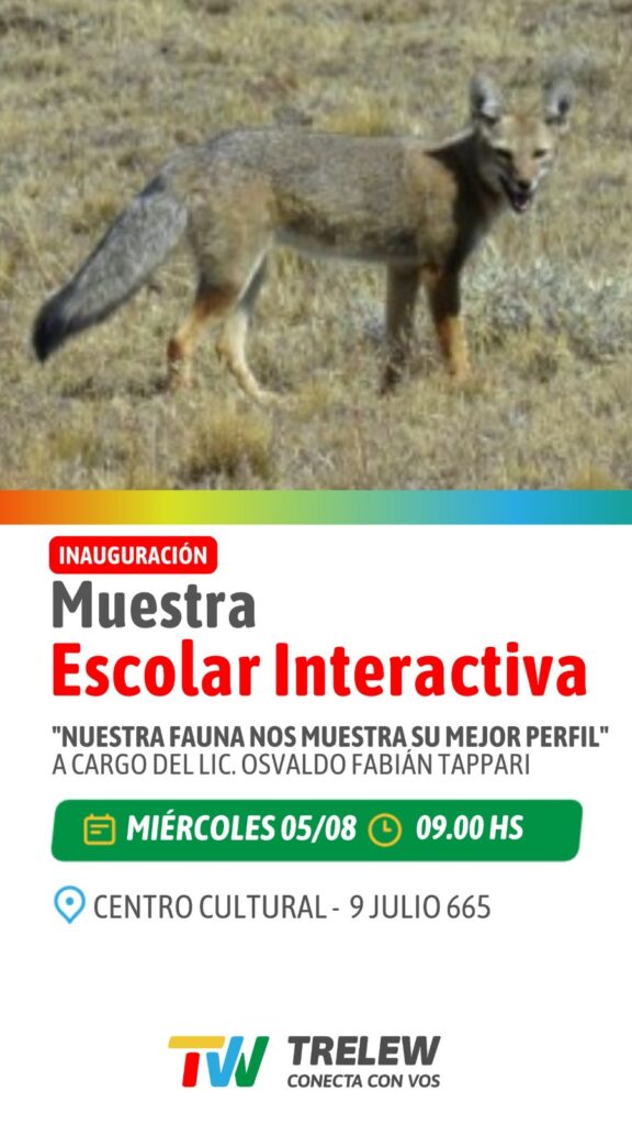 Trelew inaugura muestras sobre naturaleza y humor gráfico a través de caricaturas