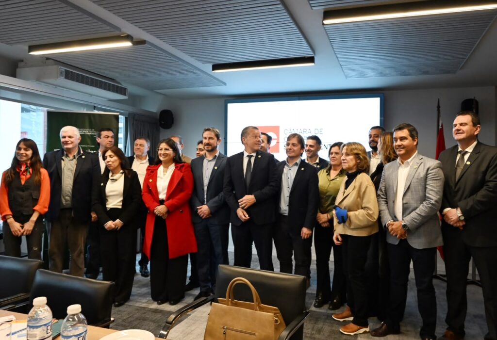 Merino presentó las oportunidades de inversión de Trelew ante la Cámara de Comercio Suizo-Argentina y la Cancillería