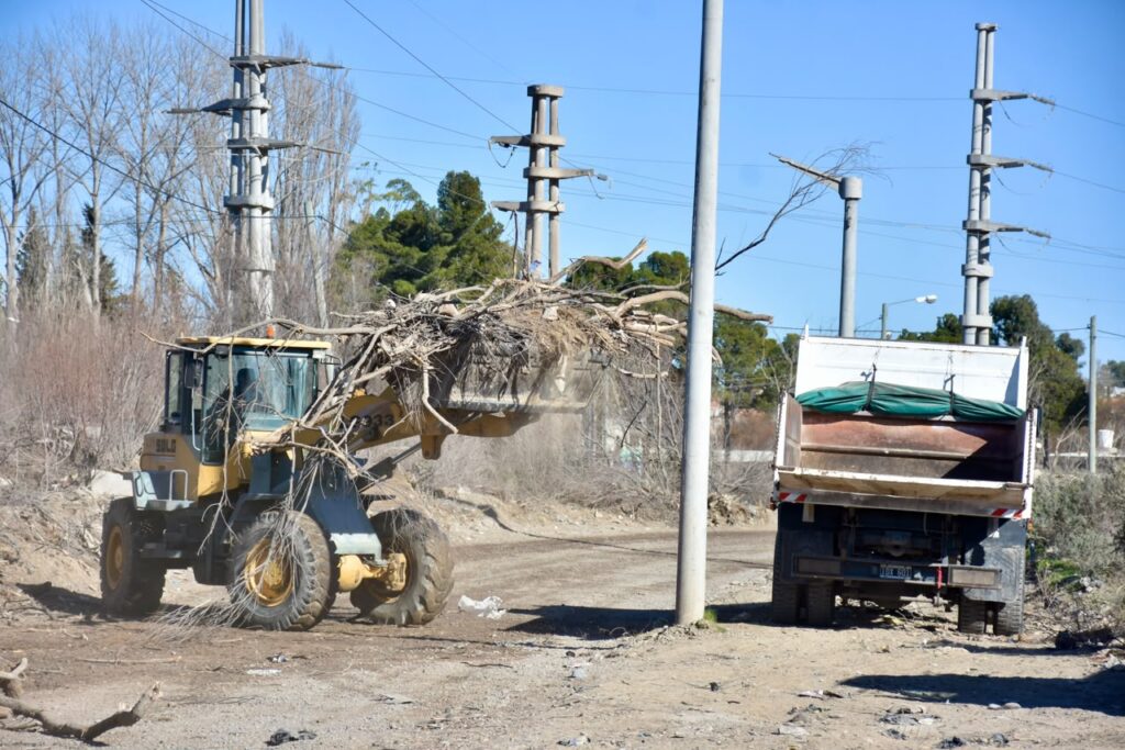 El Municipio de Trelew comenzó con tareas de desmalezamiento en el Loteo Belgrano