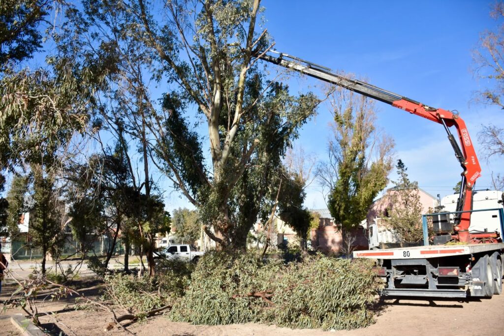 El Municipio de Trelew realiza tareas de mantenimiento en los barrios Luz y Fuerza y Los Sauces