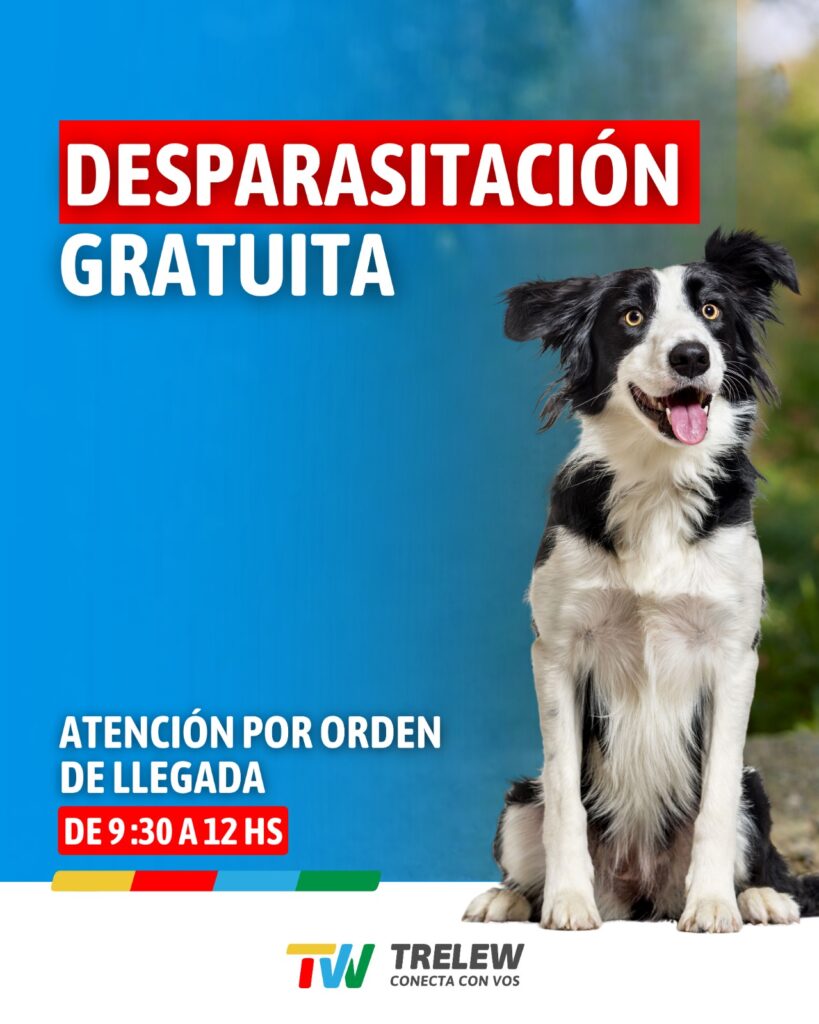 El Municipio continúa con el cronograma de desparasitación gratuita en los barrios